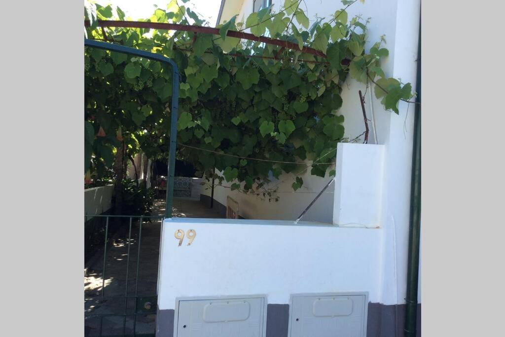 Casa Isabel 2 Bedroom Apartment Near Porto Fanzeres Εξωτερικό φωτογραφία